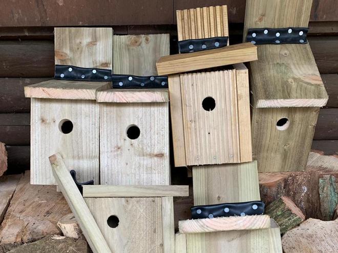 Image of bird boxes