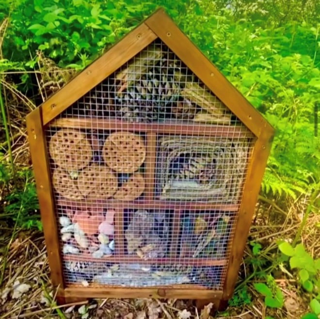 Image of bug hotel 2