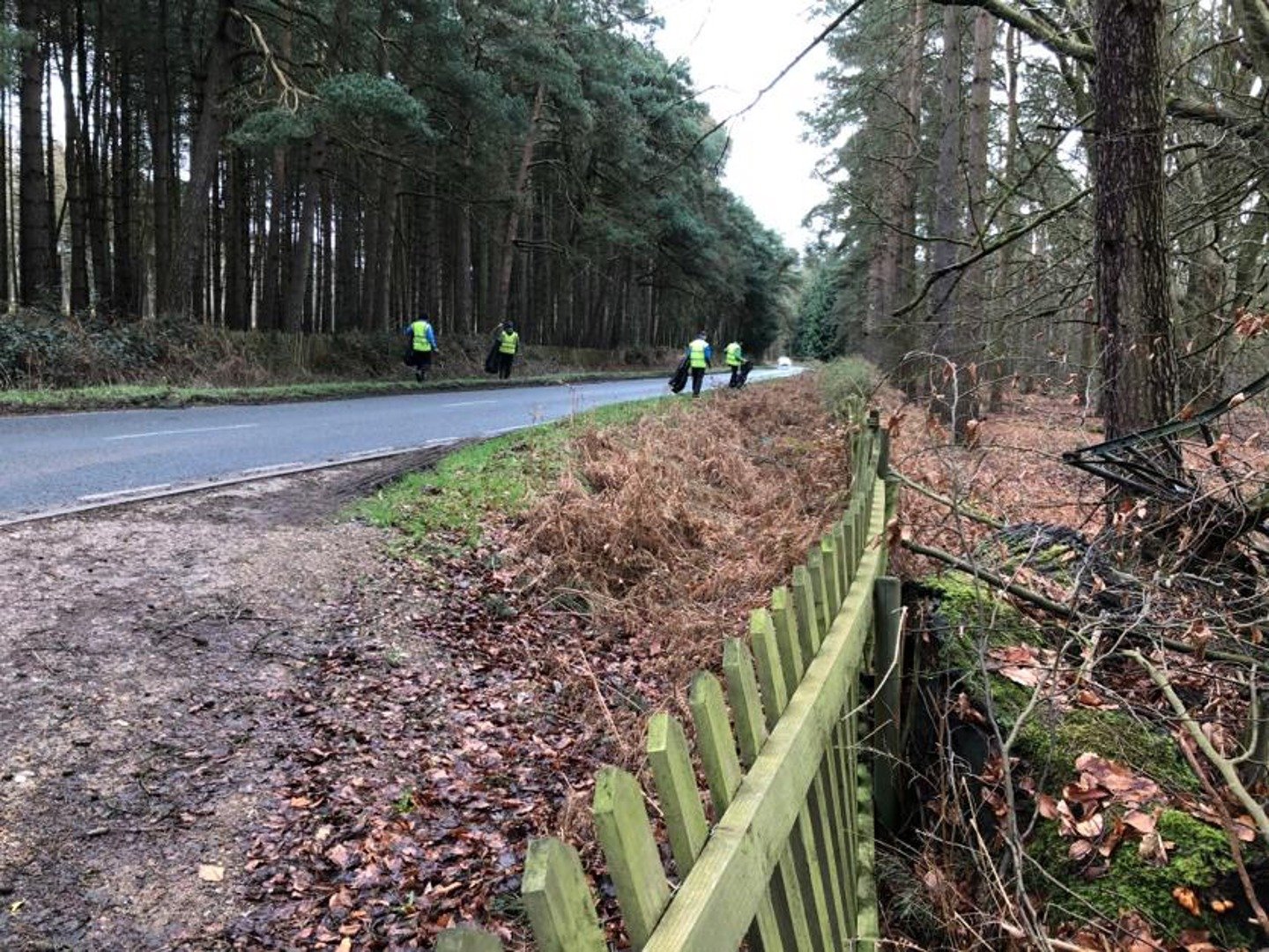 Image of litter picking 3